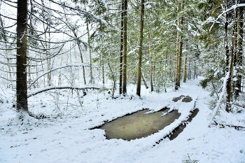 Первые морозцы ноября ... / ***