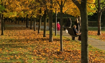 Осенние темы / Москва, Хамовники