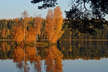 На восходе..... / Петербург. Осиновая Роща. Октябрь