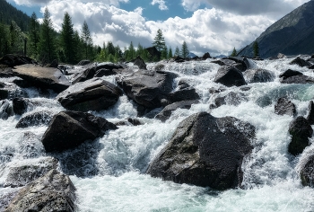 Живая вода / Шумы Мультинских озер