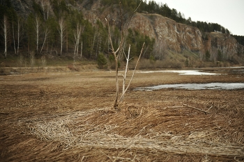 Весна закружила. / Красноярский край.