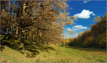 Тёплый октябрь / Октябрьский тёплый денёк у дубовой рощи