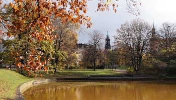 Осенний свет / Ноябрьский день в центре Дрездена