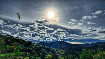 &nbsp; / Poboleda - boscos i vinyes - Priorat