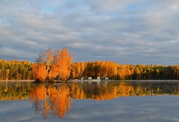 Осенним утром........ / Петербург. Осиновая Роща. Октябрь