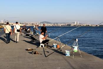 В ожидании улова / Стамбул. На берегу Мраморного моря