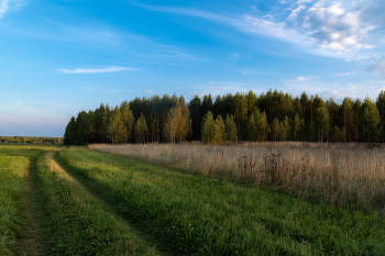 Начало осени / ***