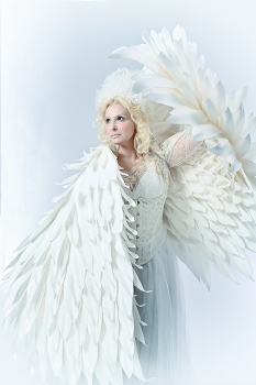 White Angel / ***