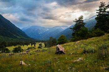 Камни / ...