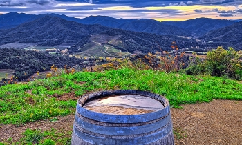 &nbsp; / Poboleda - vinyes i bota - Priorat