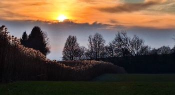 &nbsp; / Sonnenuntergang auf dem Dinkelberg