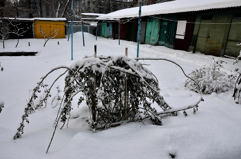 &nbsp; / Старый двор...