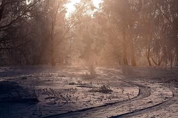 Свет нового дня. / Красноярский край.