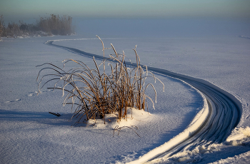 Солнечный денек / ***