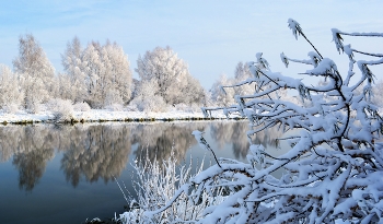 Снежные берега / ***