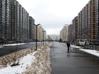 Железнодорожный (Московская область) / ***