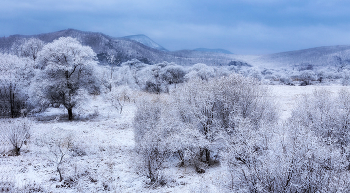 blue morning / Зинее утро, недалеко от села Фроловка.Прим. край, Партизанский район.