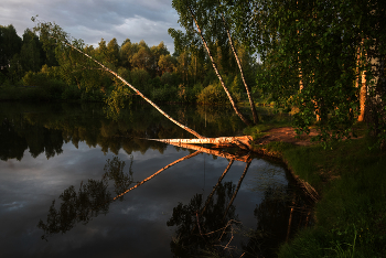 Утро на озере. / ***