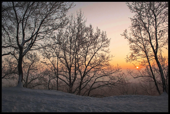 Рассвет / Лес