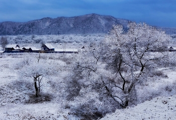 blue morning / Зимнее Приморье. Село Фроловка перед рассветом.