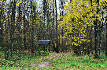 &quot;Серость, сырость и сонливость, полусумрачная грусть ...&quot; / ***