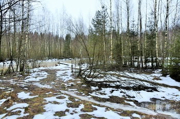 &quot;Я думала это весна, а это оттепель ...&quot; / Январь ...