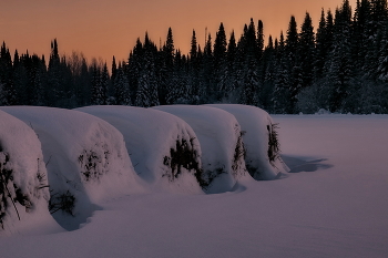 Сумерки. / *Томская область.**