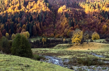 Осень в горах. / ***