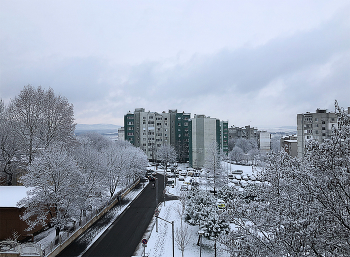 Зима / утро, снег