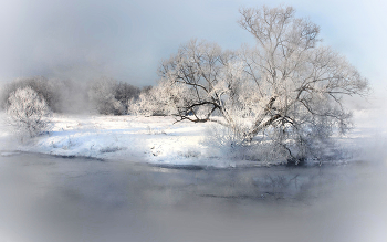 Королева Пехорки / ***