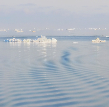 ice of horizon 2 / Весенний штиль в Охотском море. Снимок сделан с судна.