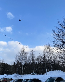 Полёт птицы в лунное поднебесье / Ясный солнечный день - 8 марта