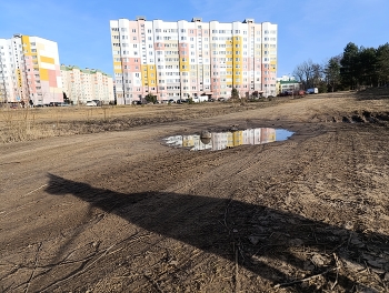 Тень дождевого червя / ***