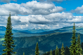 Поднебесные зубья / Поднебесные зубья