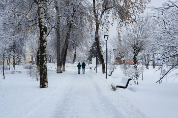 Прогулка в зимнем сквере / ***