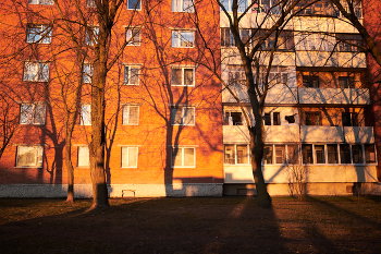 Весна в городе #9 / ***