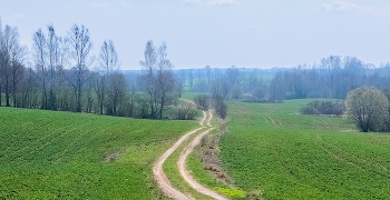 Поля и перелески / на мядельщине.
