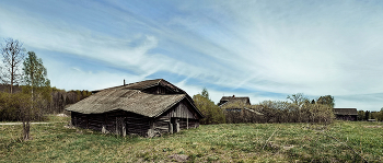 Вросший родовыми корнями. / Вросший родовыми корнями.