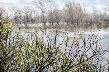 Большая вода / ***