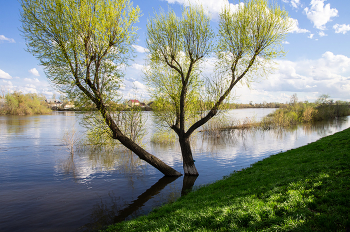 Большая вода / ***