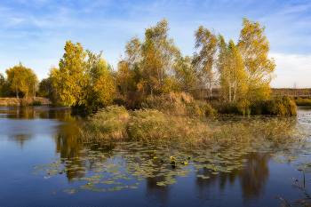 Островок / ***