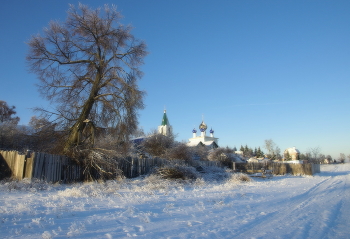 Старый дуб / Старый дуб
