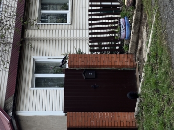 Ворона прилетела в гости к Сёме / Птицы и коты понимают друг друга с полуслова