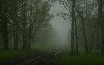 Туманное утро / Весна