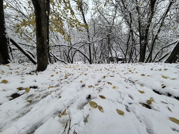 Водная / Водная
