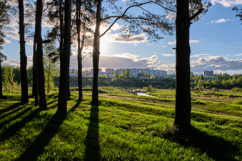 Вечер в парке 2 / ***