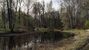 Весна... / Природа...