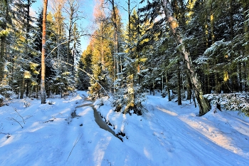 Морозный денек ... / ***