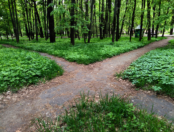  / В городском парке...