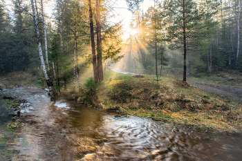 Вечерние лучи / Уральская природа